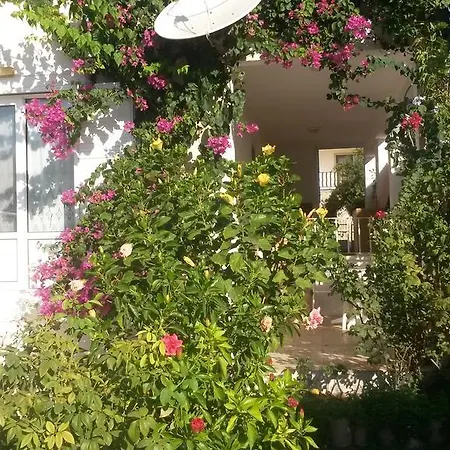 Merkez Mustakil Bahce Kati Daire 2+1 *