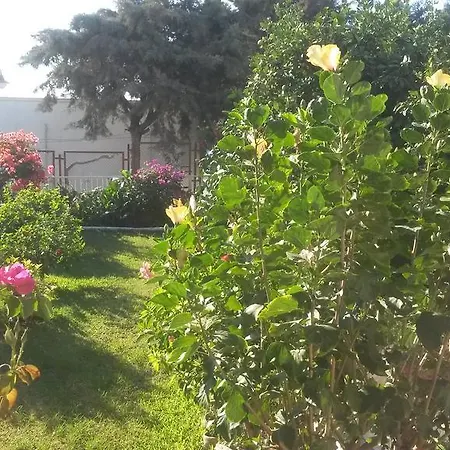 Apartament Merkez Mustakil Bahce Kati Daire 2+1