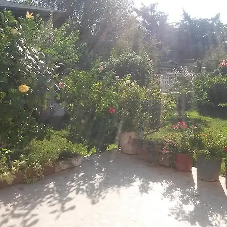 Apartament Merkez Mustakil Bahce Kati Daire 2+1 *