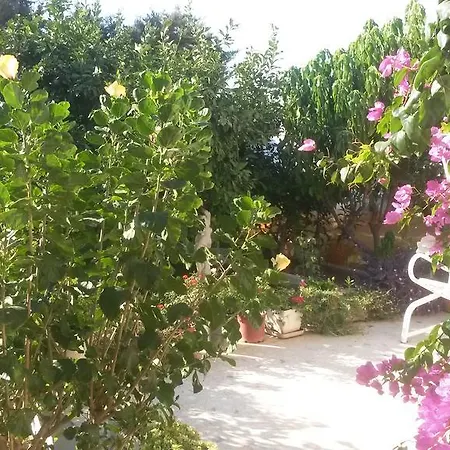 Merkez Mustakil Bahce Kati Daire 2+1 *